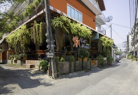 Cat House Guesthouse