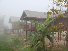 Chiang Dao Privacy