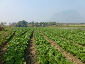 Chiang Dao Privacy