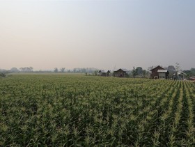 Chiang Dao Privacy