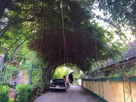 Chiang Mai Bunk Home