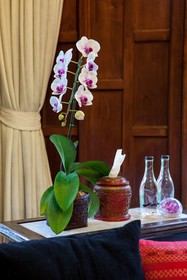 Chiang Mai Luxury Villa