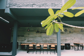 Chiangmai Moli Boutique Hostel