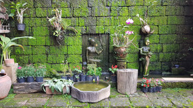 Chiangmai Tulip House and Massage