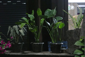 Cumpun Guest House