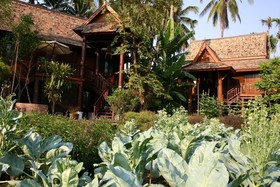 Dhara Dhevi