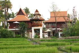 Dhara Dhevi