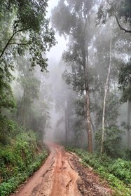 Doi Pumuen Lahu Homestay