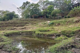 Doi Pumuen Lahu Homestay