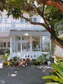 Double Tree House