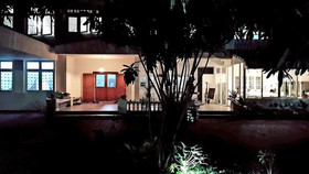 Double Tree House