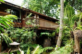 Fern Paradise