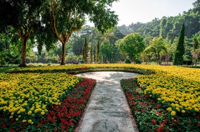 Flora Creek Chiang Mai