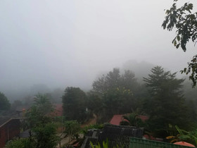 Forest Guesthouse