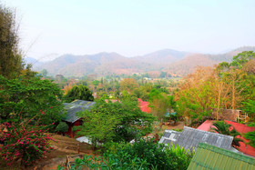 Forest Guesthouse