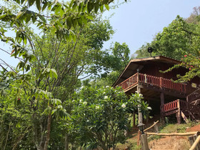 Forest Guesthouse