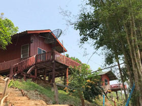 Forest Guesthouse