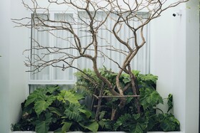 Glyn Chiangmai