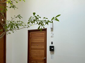 Glyn Chiangmai