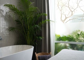 Glyn Chiangmai