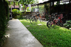 Gord Chiang Mai