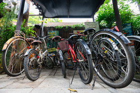 Gord Chiang Mai