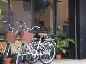 Green Sleep Hostel
