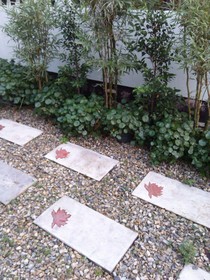 Home Stay Chiangmai Baan Chao Mhon