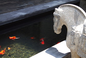 Hotel des Artists Ping Silhouette