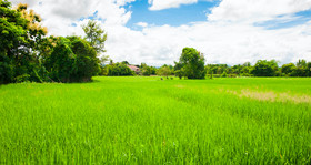 Imagine Chiang Mai Resort