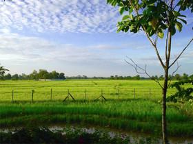 Imagine Chiang Mai Resort