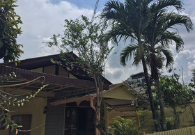 Jao Yellow House