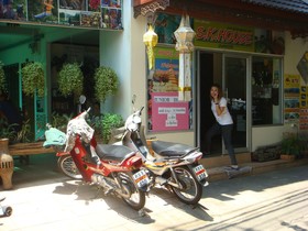 Junior Guest House