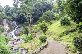Kangsadarn Resort and Waterfall