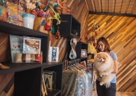 Ketawa Pet Friendly Hotel