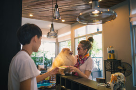 Ketawa Pet Friendly Hotel