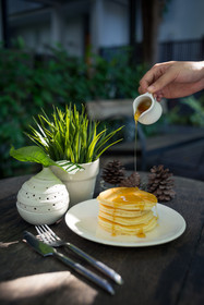 Ketawa Pet Friendly Hotel