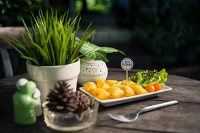 Ketawa Pet Friendly Hotel