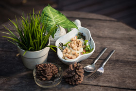 Ketawa Pet Friendly Hotel