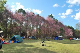 Khemapira Beds & Breakfast