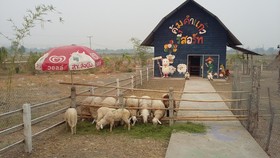 Khoom Kam Kaew Farm & Resort