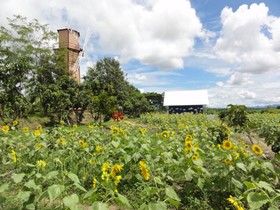 Khoom Kam Kaew Farm & Resort