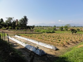 Khoom Kam Kaew Farm & Resort
