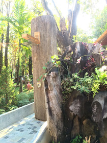 Khum Wang Nuea Villa