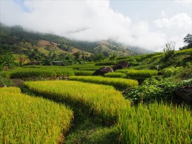 Kowit Maechaem Farmhouse