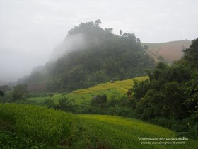 Kowit Maechaem Farmhouse