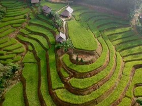 Kowit Maechaem Farmhouse