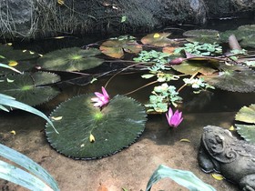 Laan Mai Fai Chang Resort