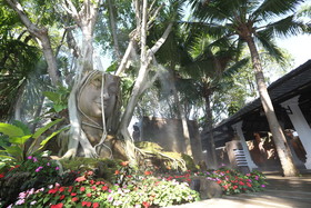 Laan Mai Fai Chang Resort