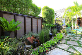 Leafy Greens Clay House